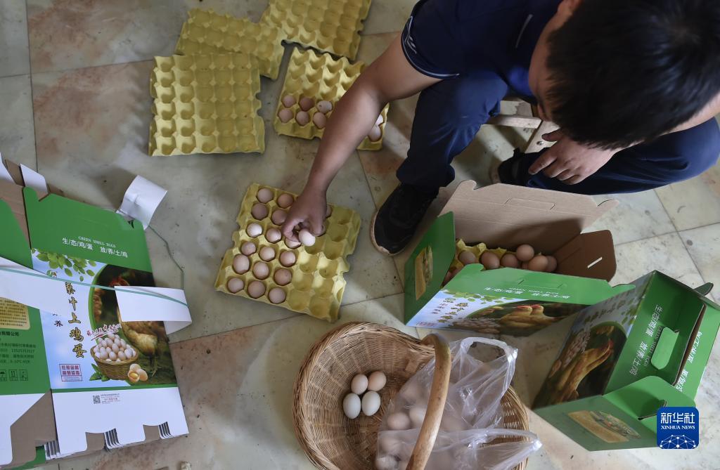 捕鱼软件下载